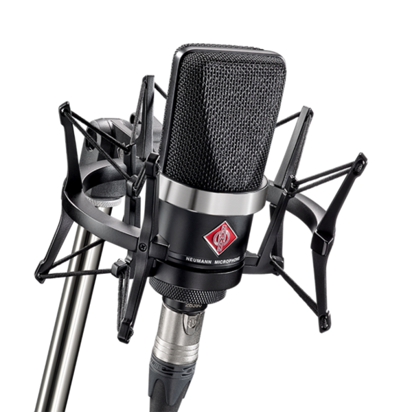 Neumann-tlm102 condenser microphone